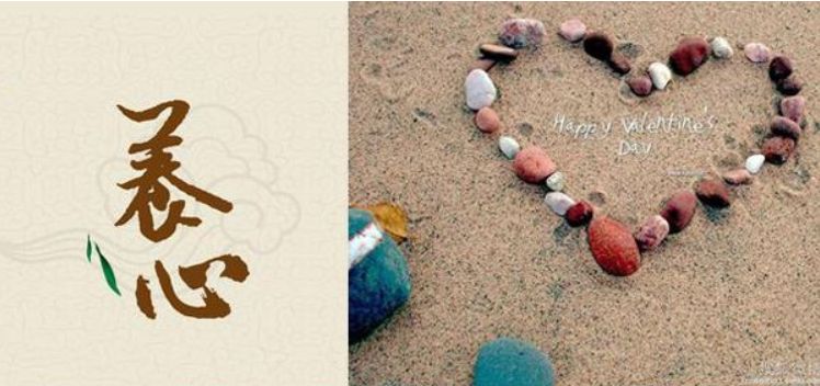 国医大师王琦：养生就要多工作、少进补