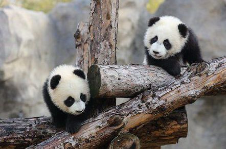 惠州一日游必去的10个免费景点,惠州游玩小众景点攻略大全