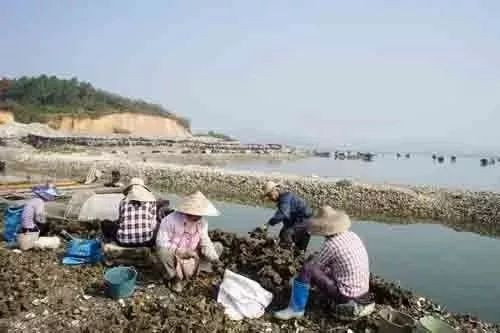 深圳旅游五日游景点推荐,深圳五一游玩线路汇总