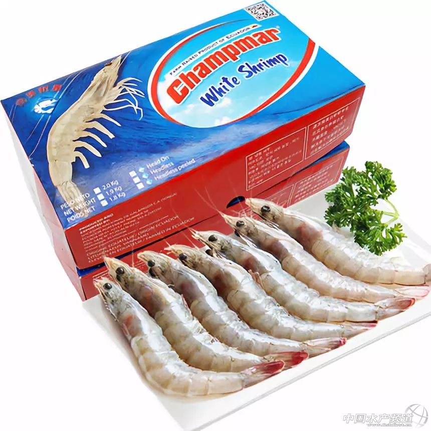 中国订购厄瓜多尔白虾最大的厂家,中国进口厄瓜多尔白虾最新政策