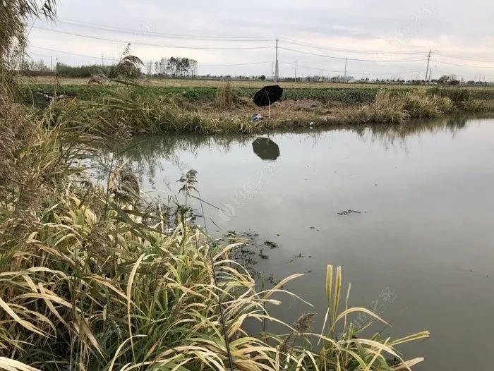 冬季长竿短线怎么选位,野钓长竿短线技巧和方法