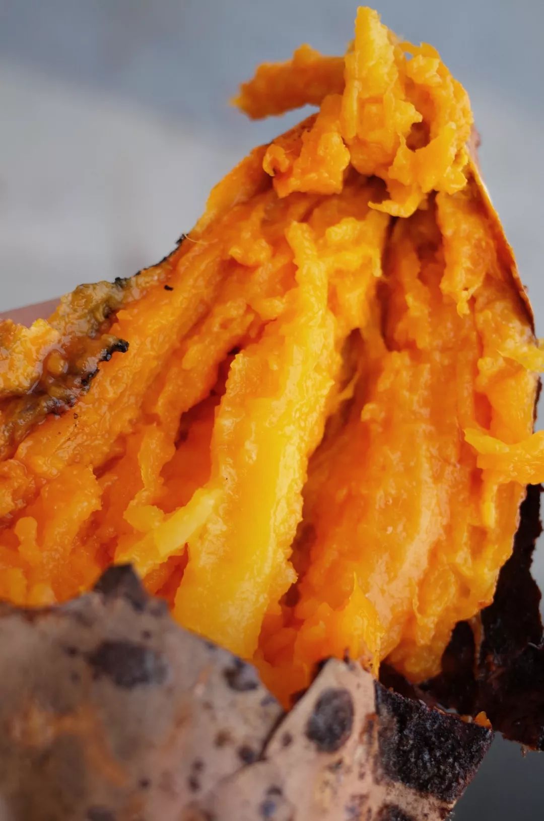 人间不值得但是人间很美好,人间不值得但是你值得是谁说的