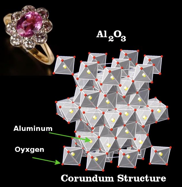 为什么苹果不会烂,苹果一直摘壳会不会掉漆