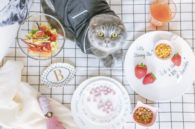 曼谷街头1打6,曼谷街头24小时攻略