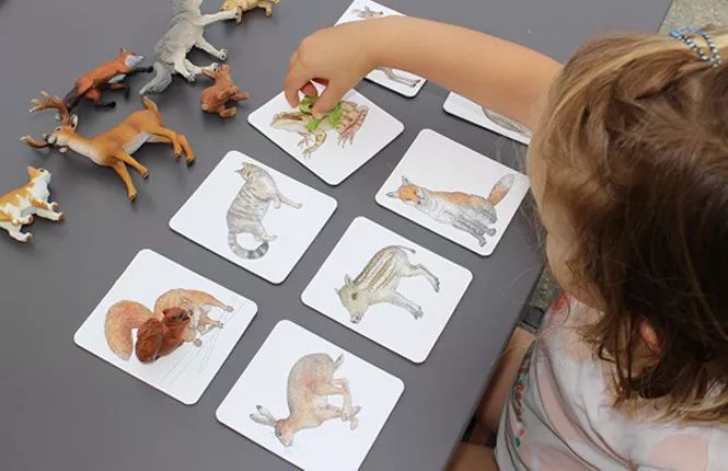 月费1万的蒙氏幼儿园太贵?只要69元,法国幼教大师手把手教你,在家玩蒙氏教育!