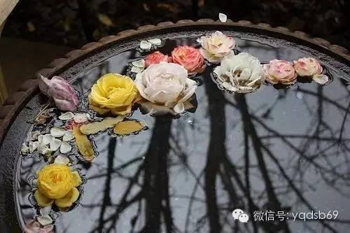 人月圆山中书事原文,人月圆山中书事赏析