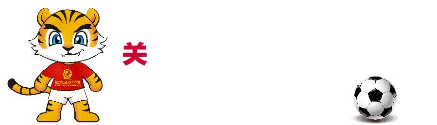 恒大足球夺冠大合唱,恒大足球学校比赛直播