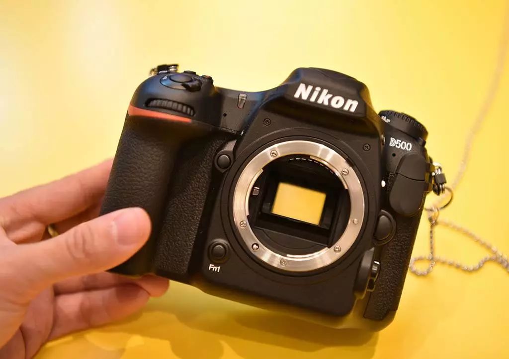 什么品牌相机最好尼康佳能,目前买尼康相机什么型号最好