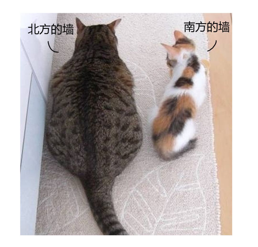 暖气放气放到什么程度是没有气了,暖气里全是气没有水