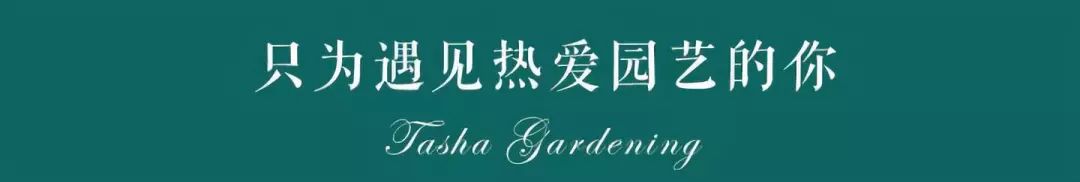 3种方法来辨别真假朋友,三个方面判断骗局