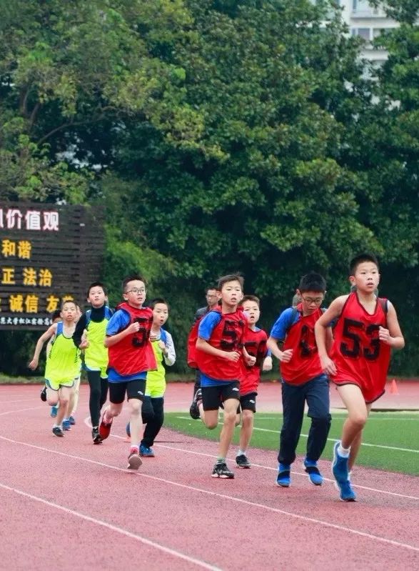 松江区阳光体育节田径比赛2017,2020松江区学生阳光体育大赛