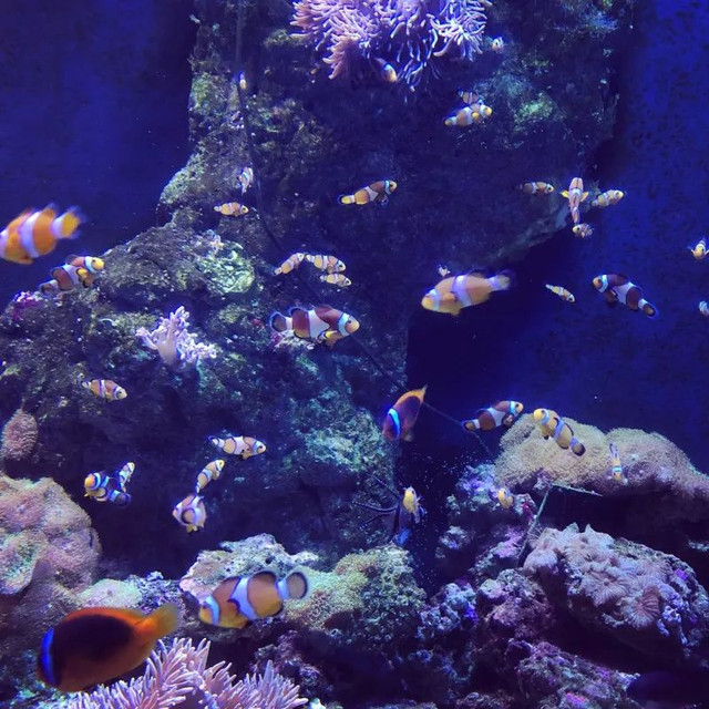 四川居然有一片蓝色海洋,成都蓝色海洋