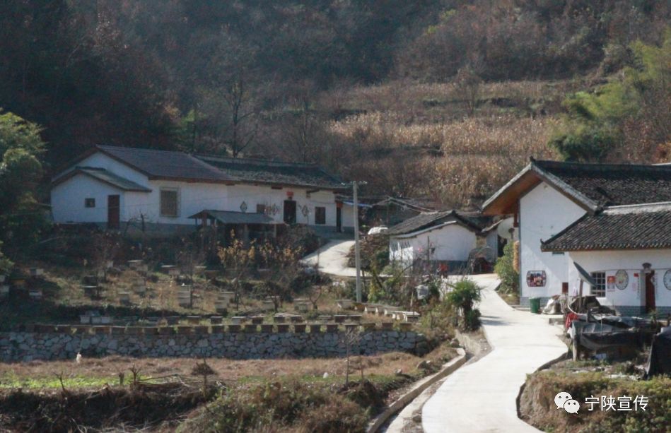 甜入心的宁陕“海棠蜜”……