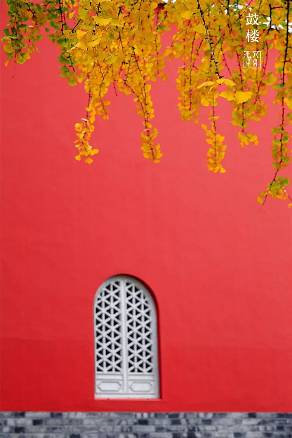 鼓楼70岁的老人免费吗,鼓楼60岁以上老人免票吗