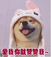 福州一中全国排名,福州一中全国排名第几