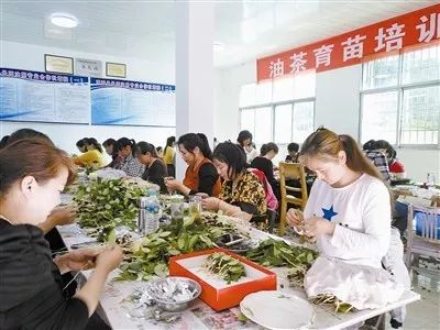 「特刊」县委书记和县长在《信阳日报》上各写了一篇署名文章！他们都是怎么夸商城的？瞧瞧~