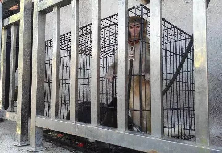 养儿子34年后求助被拒,养儿子34年后求助遭拒