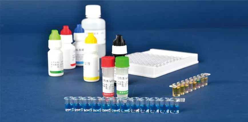 铓傝殎閲戞湇鍏ヨ偂涓閲戣储,铓傝殎閲戞湇閲戣瀺绉戞妧鍩洪噾