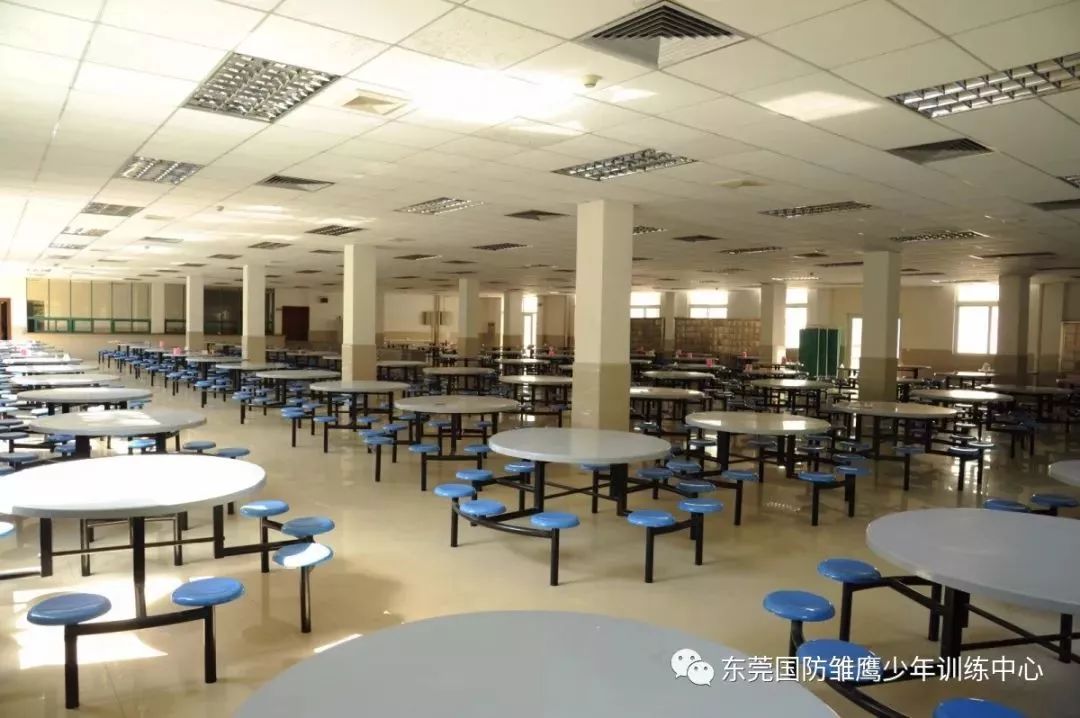 东莞报业夏令营,东莞雏鹰少年夏令营多少钱