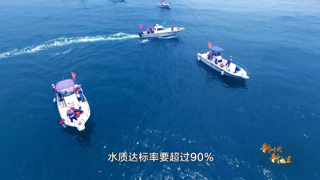 新时代新山东第八集,新时代新山东纪录片