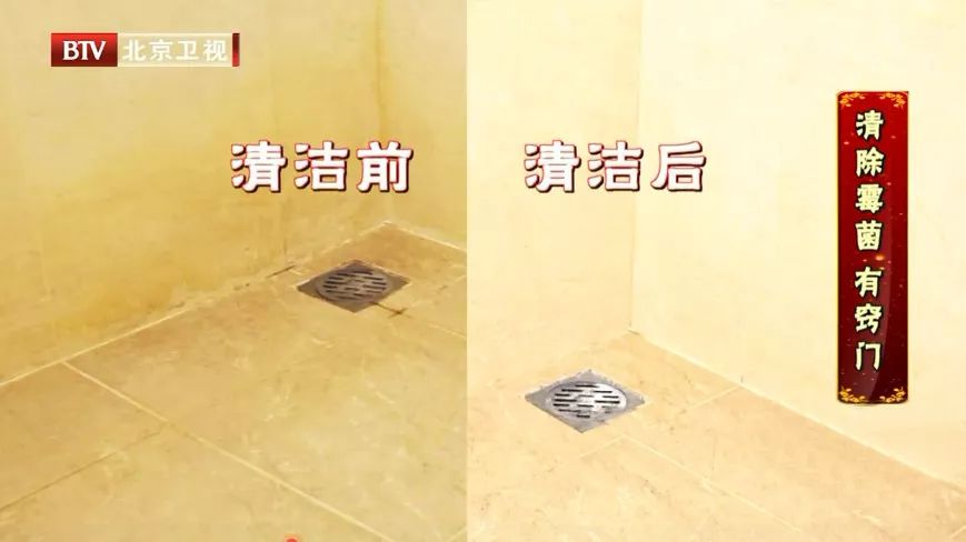 霉菌是不是百害无一利,霉菌是一等致癌物你绝对想不到