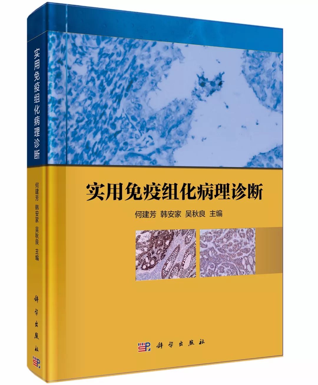 病理诊断免疫组化手册,免疫组化诊断书籍推荐