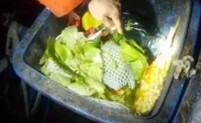 超市里都会有的牛奶有哪些,超市里都有哪些牛奶