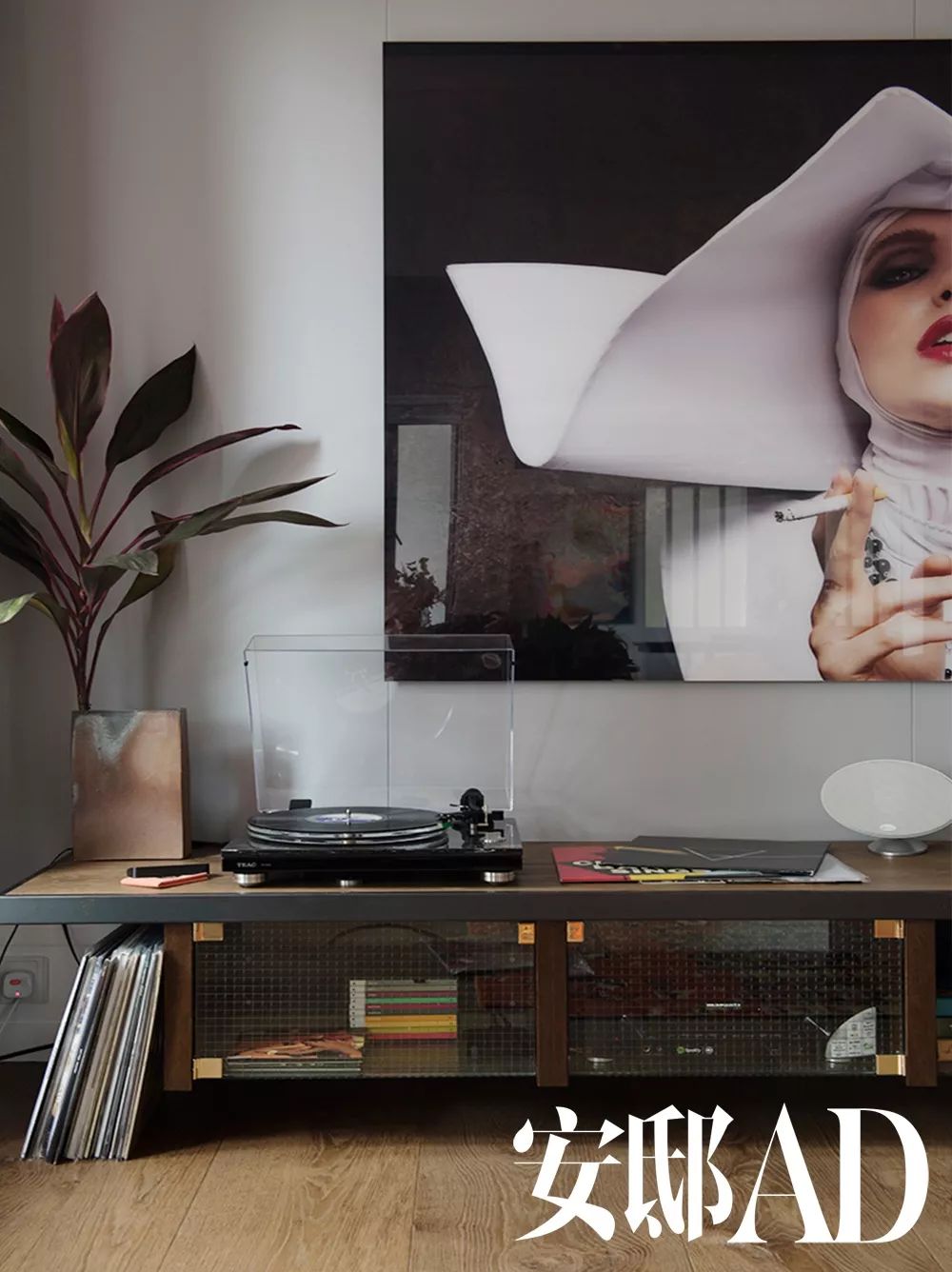 当单身公寓里有了女主人，一切都变得不一样……