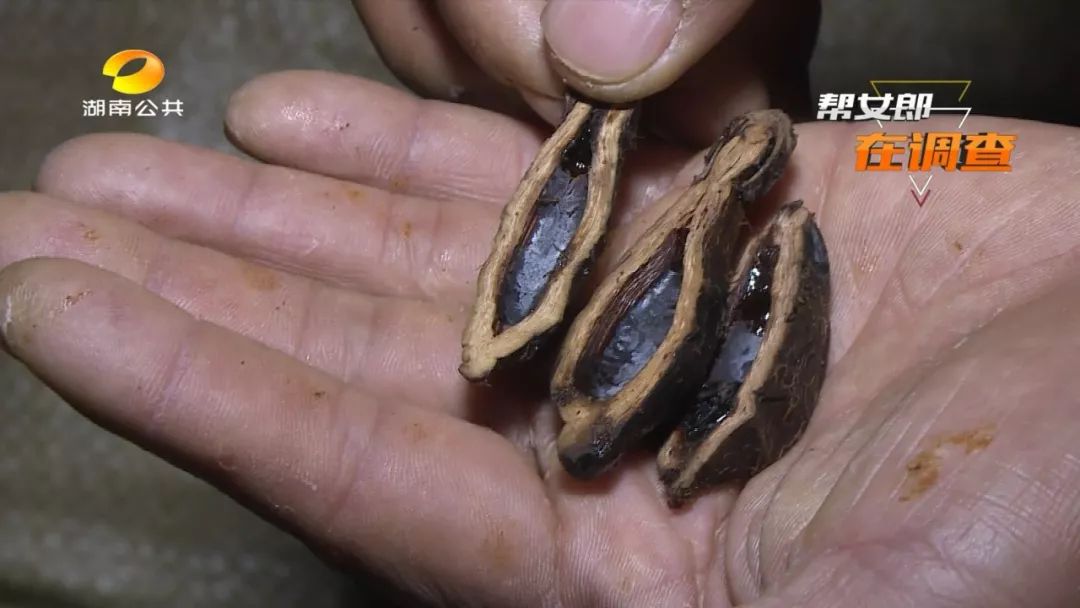 罐装槟榔和醉知味实体店价格,醉知味槟榔福建