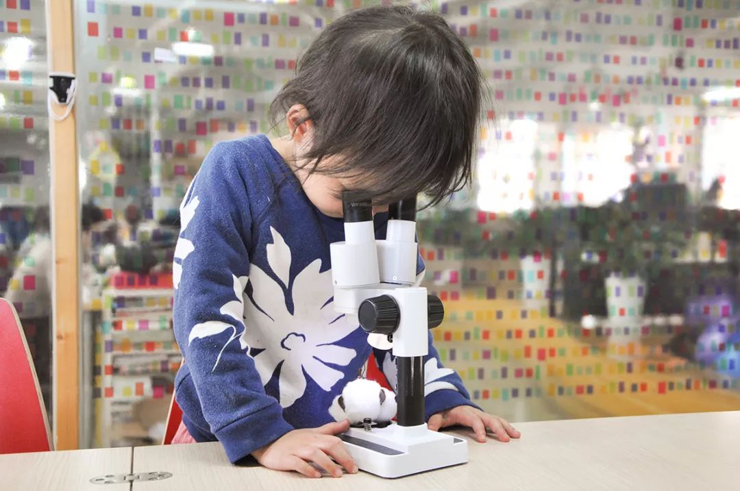 双12给宝宝囤的宝宝用品,双12宝宝必买清单