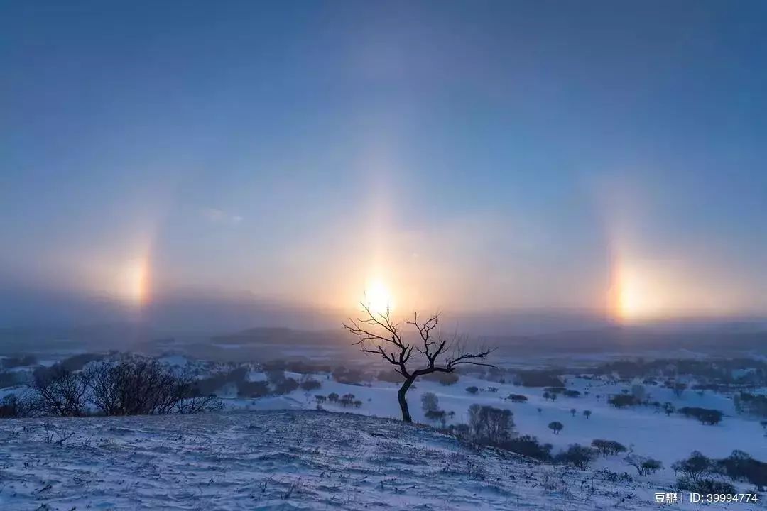 廿四节气丨和大家聊聊“大雪的几件事”