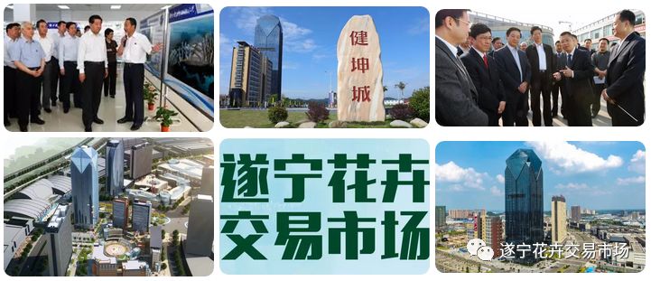 遂宁花卉批发市场,遂宁绿植花卉市场在哪里啊