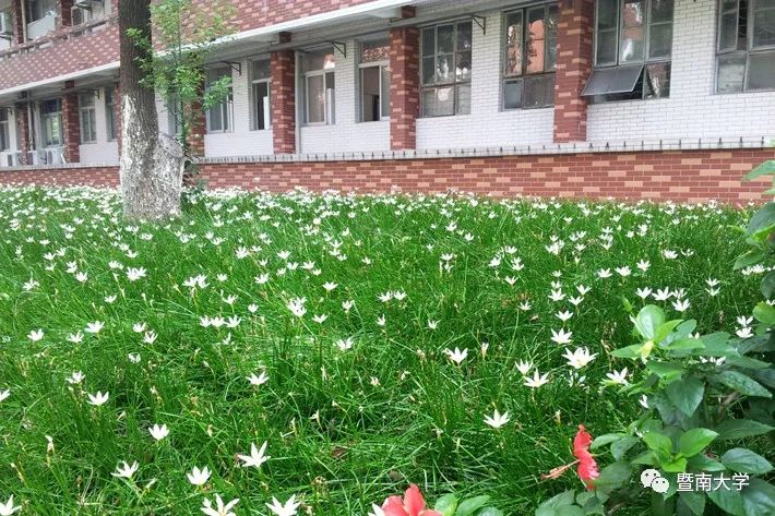 盘点那些美丽的校园时光,盘点那些美丽的校园