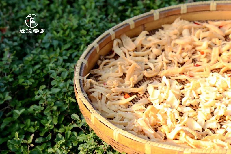 青眼看新北酒店,青眼看新北审核多久