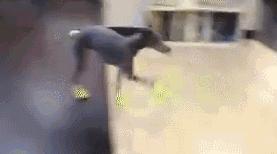 预警！明日山东有大雪局地暴雪；行驶中孩子掉落快车道，家长全然不知；外交部召见加驻华大使，就加方拘押华为公司负责人严正交涉