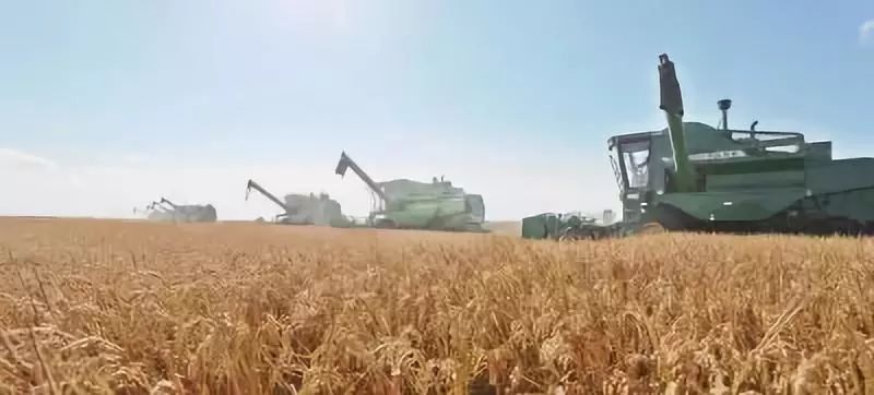 改革开放40年农村经济的变化,农村改革开放40年经济发展