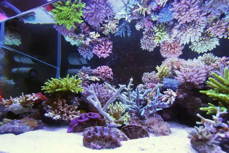 60海缸开缸全记录,1.2米的海缸开缸需要多少费用