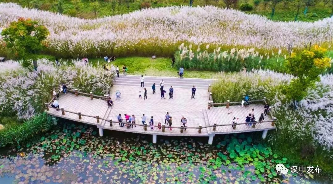 三区建设贡献力量,召开三市建设研讨会