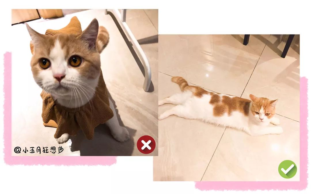 小红书超好看少女心壁纸,小红书上爆火壁纸ins风可爱横屏