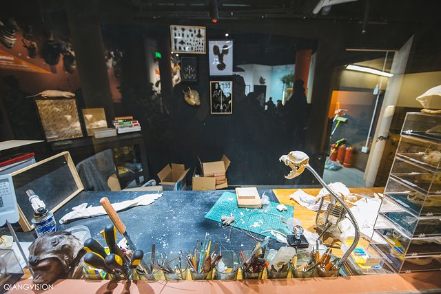 成都怎么玩一天一夜,如何在成都耍一天