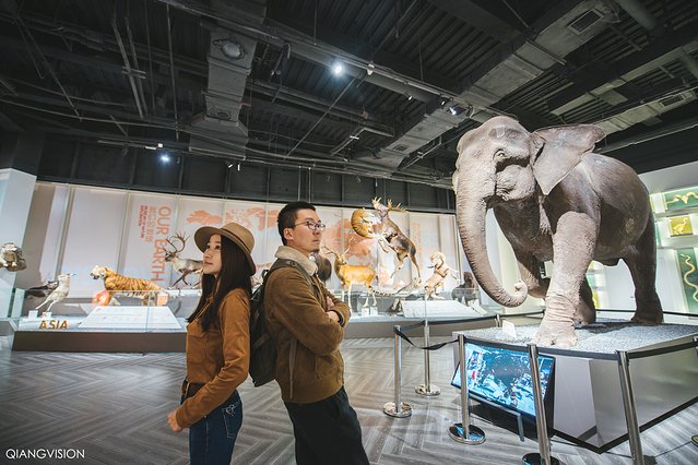 成都怎么玩一天一夜,如何在成都耍一天