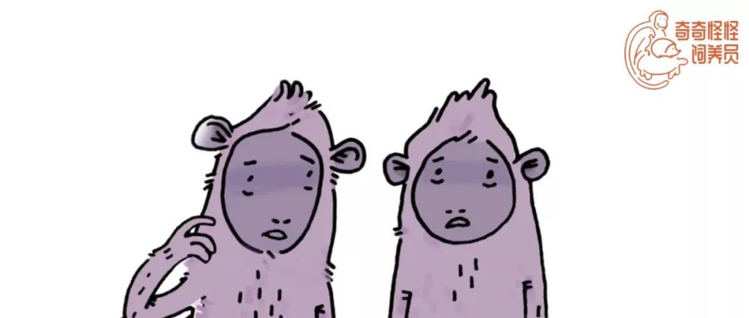 澳大利亚袋鼠手撕铁桶,袋鼠徒手捏爆铁桶