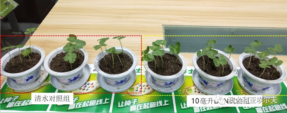 霍博士钙镁肥,霍博士拌种肥用法用量