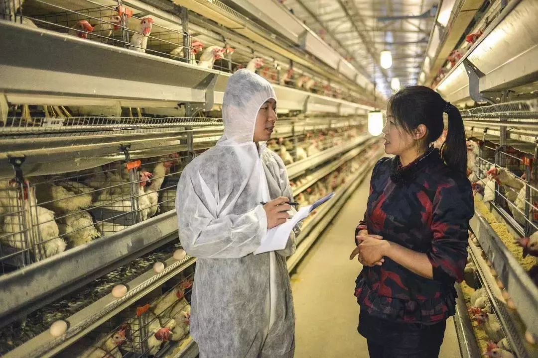 出台23项举措!江西农商银行以高质量服务促进民营企业发展繁荣