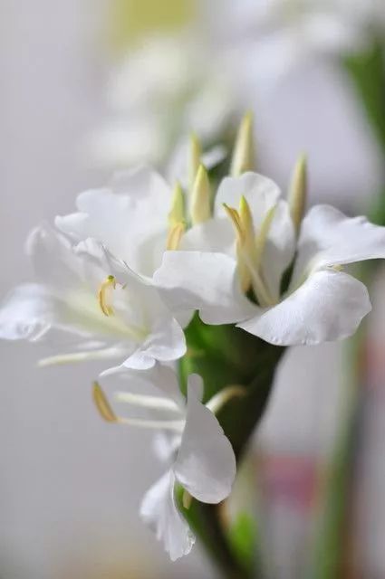 宋慧乔开播新剧,宋慧乔新剧美貌