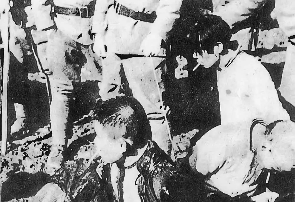 *京大南***杀屠**和我有什么关系?