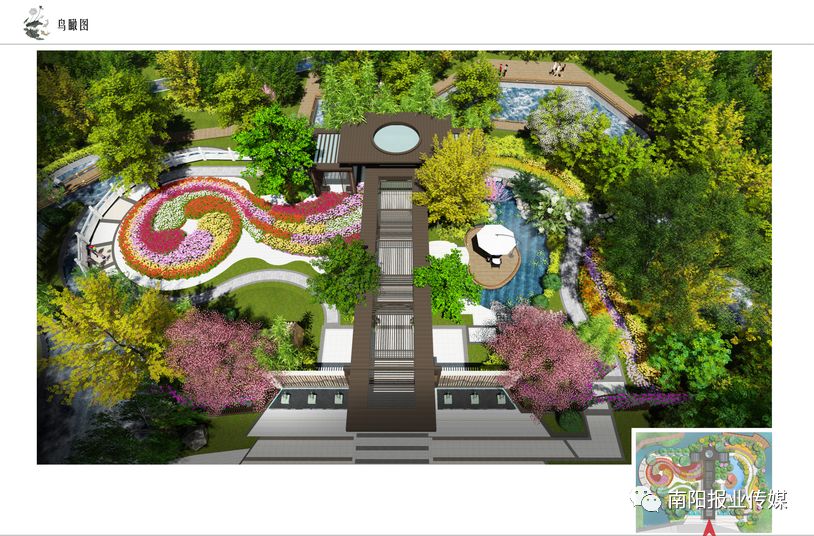 最美南阳月季园,看到美丽的月季花心情豁然开朗