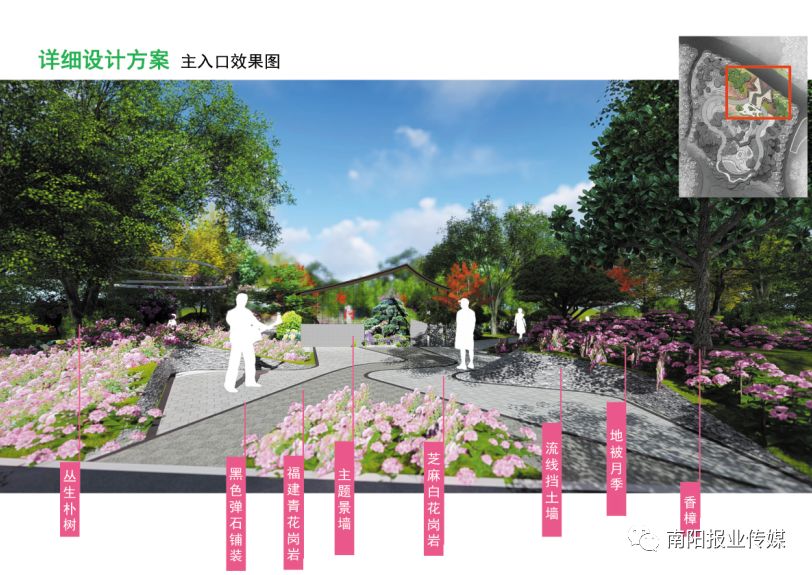 最美南阳月季园,看到美丽的月季花心情豁然开朗