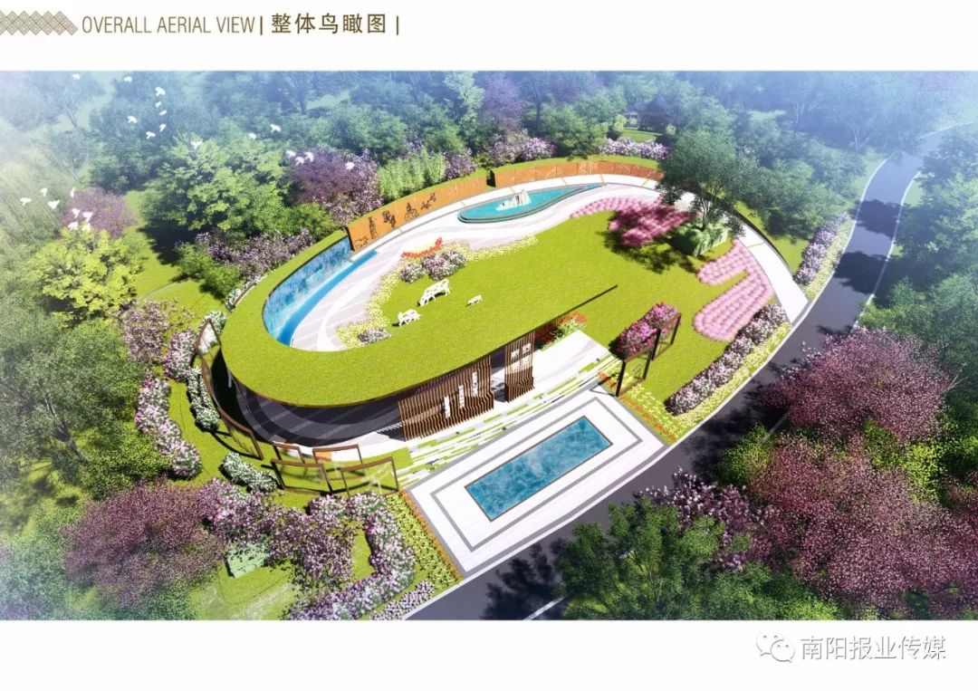 欣赏南阳世界月季大观园,南阳月季园的景色真的好美