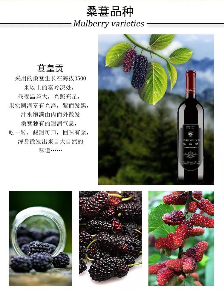 做微商水果代理,做水果的微商代理